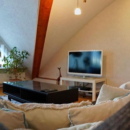 Grosse, Helle Wohnung Fuer Bis Zu 6 Personen Weinheim Dış mekan fotoğraf